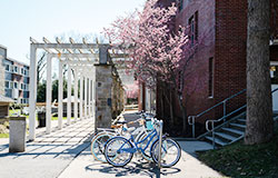 bikes bikes outside a dorm